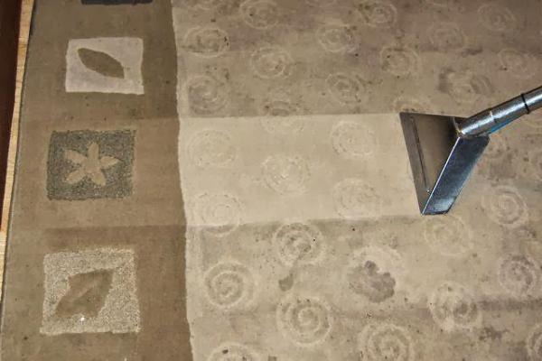 Optimum Carpet Care