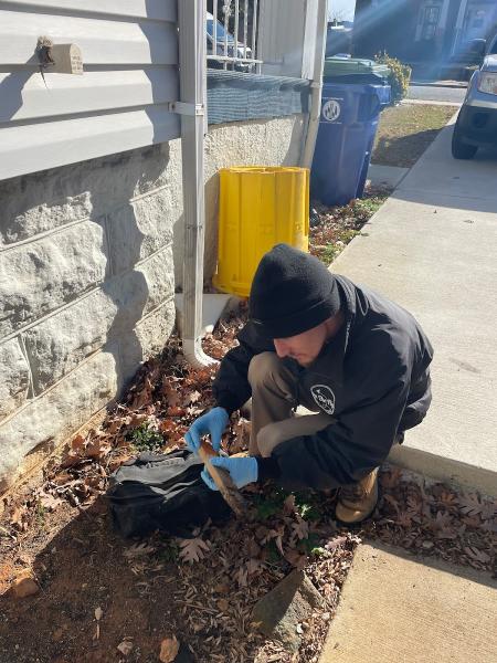 On the Fly Pest Solutions
