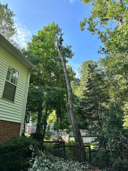 Anderson Gutter & Tree Service