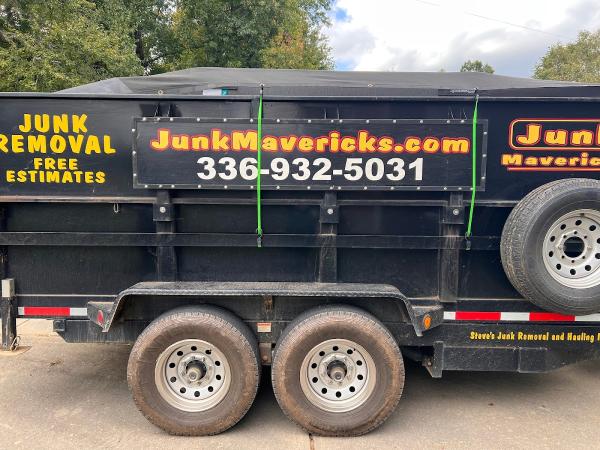Junk Mavericks