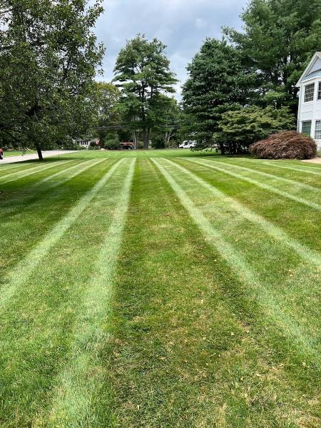 Frascatore Landscaping LLC