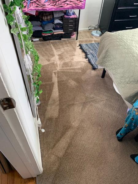 Kimmie's Carpet Cleaning