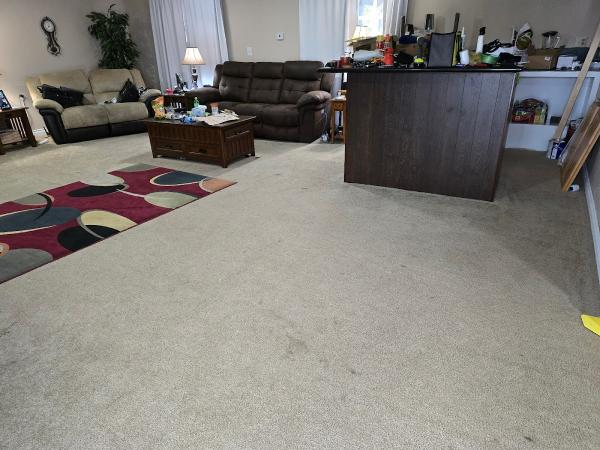 Accuclean Carpet and Floor Care