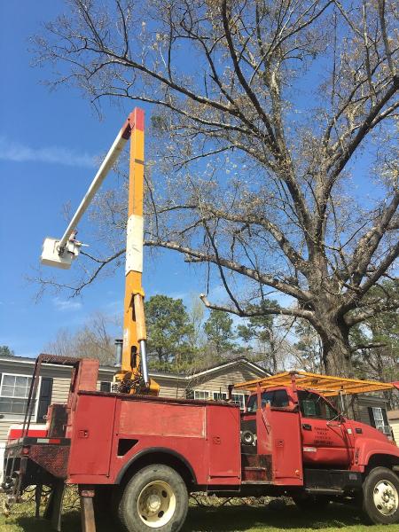 Alexander Tree Service