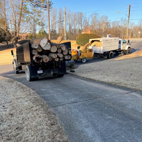 Riverside Tree Service