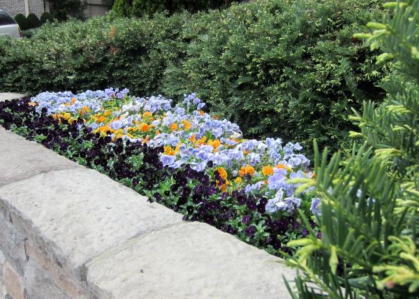 Acer Landscape Services