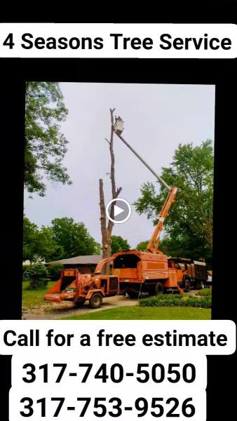 4 Seasons Tree Service LLC