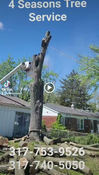 4 Seasons Tree Service LLC