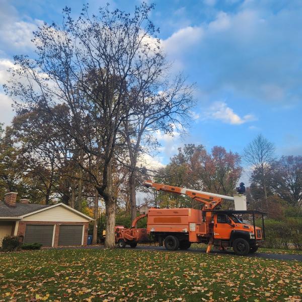4 Seasons Tree Service LLC