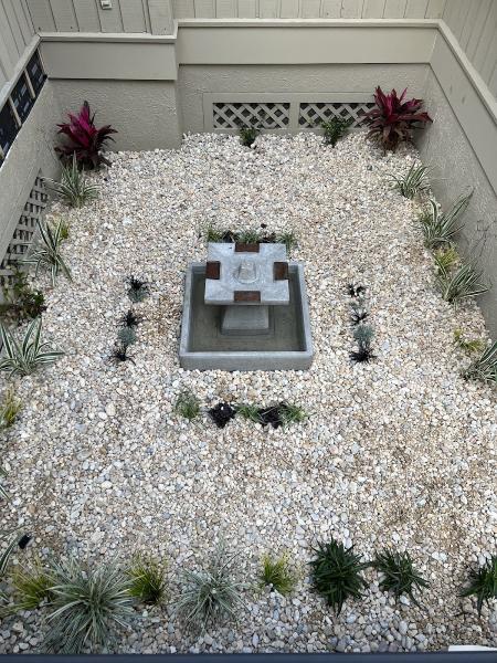 Swamp Grass Landscaping