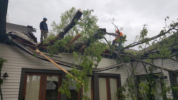 Tanksley Tree Service LLC