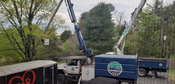 Tanksley Tree Service LLC