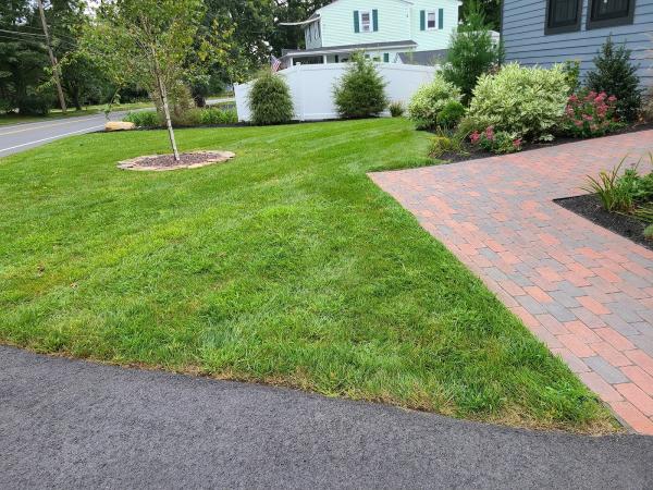 T&B Landscape and Irrigation