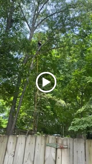 Charley's Tree Service