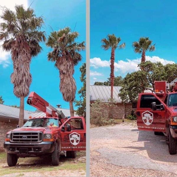 Dream Outdoor Services