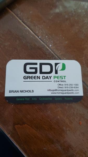 Green Day Pest Control