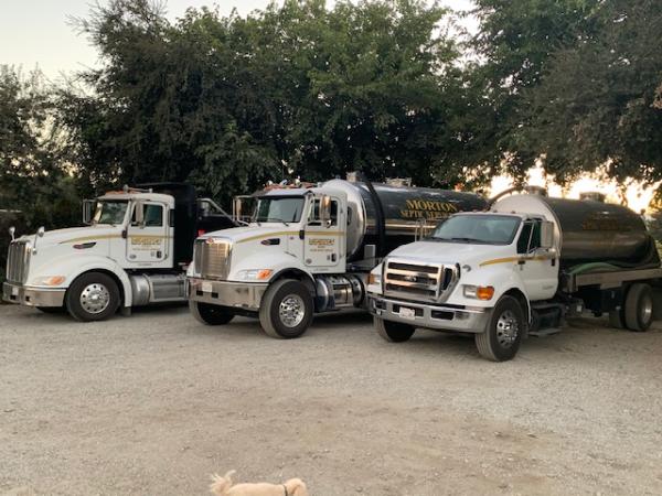 Morton Septic Service Inc