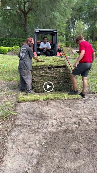 Local Sod and Landscape