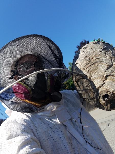 High Quality Pest Control