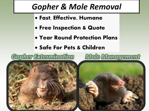 Ecofloridian Lawn & Pest Control