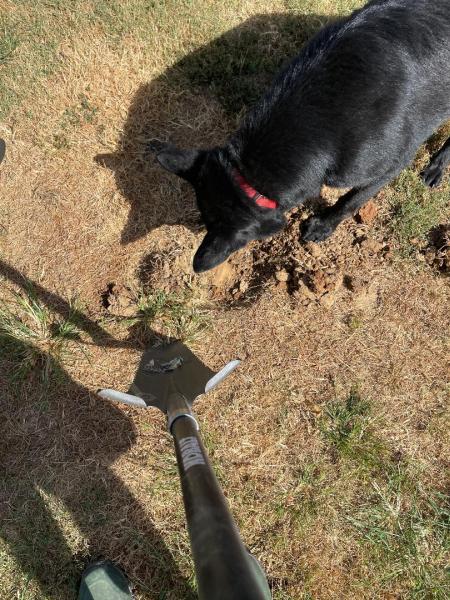 Blue Sky Septic and Grease Trap Service LLC