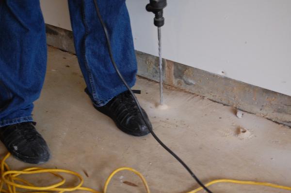 Arrow American Pest & Termite Control