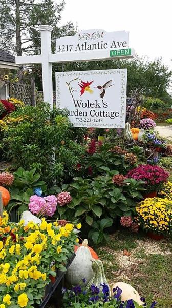 Wolek's Garden Service