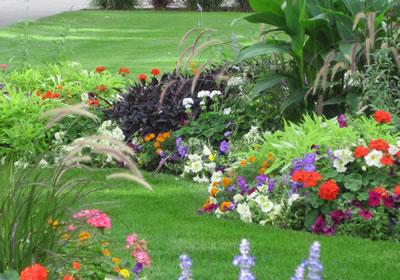 Simms Landscape
