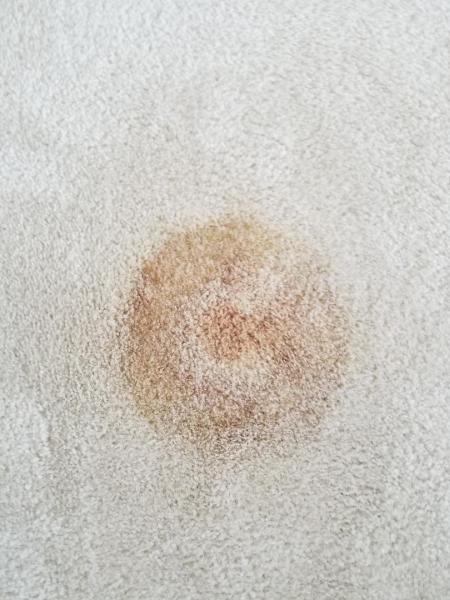 Everlush Cleaning Services