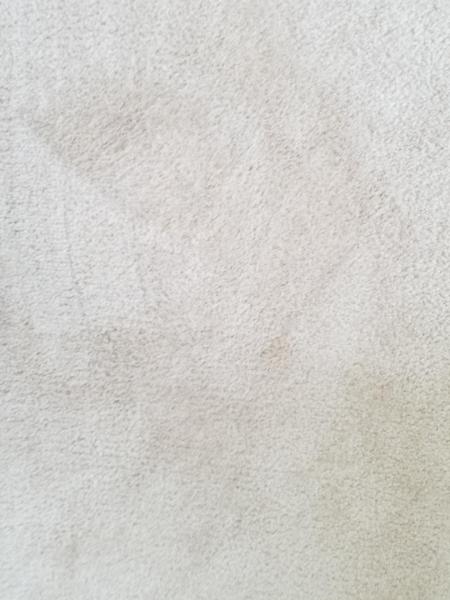 Everlush Cleaning Services