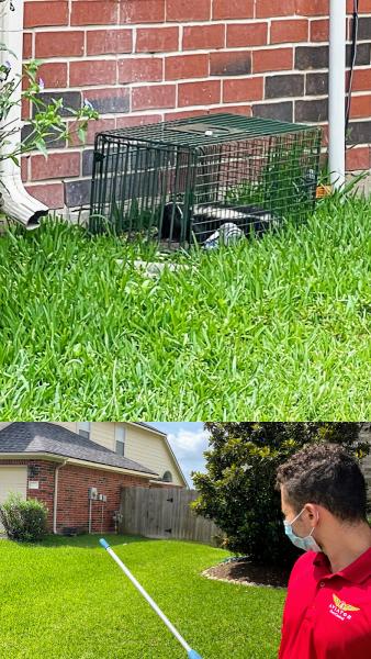 Aviator Pest Control