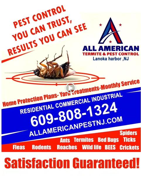 All American Termite & Pest Control