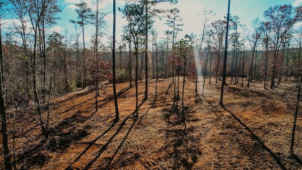 Outback Forestry Mulching and Land Clearing