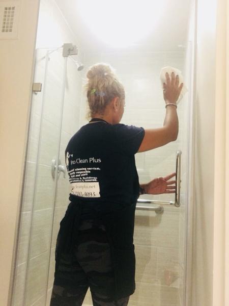 Pro Clean Plus
