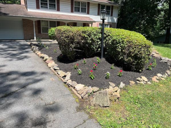 Saravia Landscaping