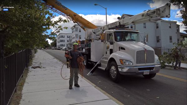 B&R Tree Service