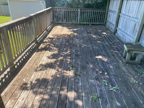 Green Team House Wash