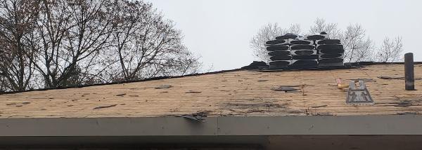 Maple Roofing and Construction