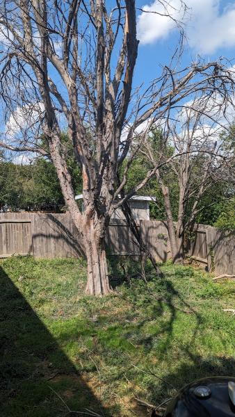Happy Tree Service