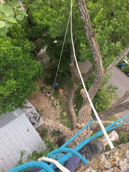 Happy Tree Service