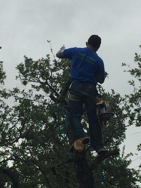 Happy Tree Service