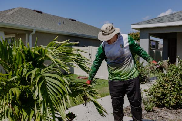 Top Lawn Pros