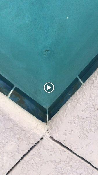Pool Police Services