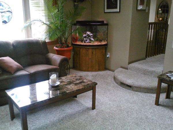 Levittown Carpet and Flooring