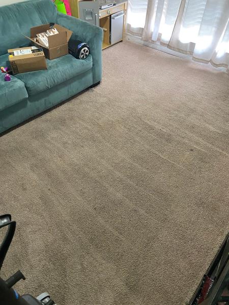 The Root Cleaning Service