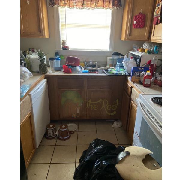 The Root Cleaning Service