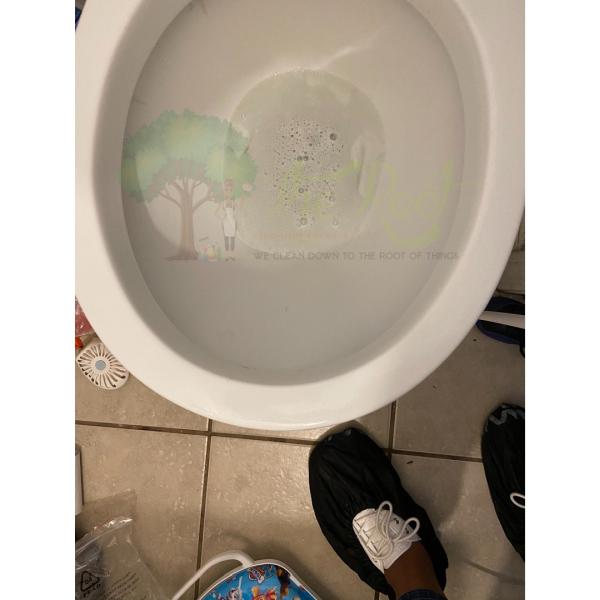 The Root Cleaning Service