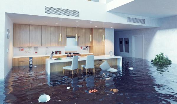 Dream Team Water Damage Restoration
