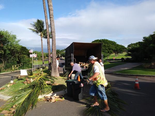 Friendly Tree & Landscaping Services
