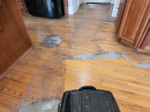 Optimal Hardwood Floor Refinishing & Floor Care